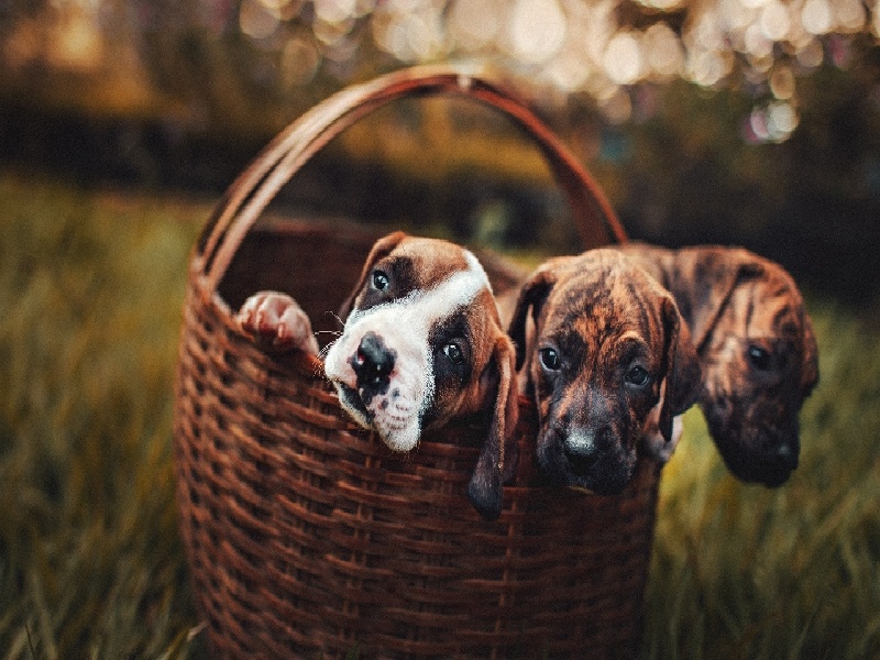 试管何时算安全(试管哪个周期最好)